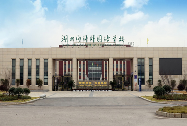 湖北沙洋外国语学校