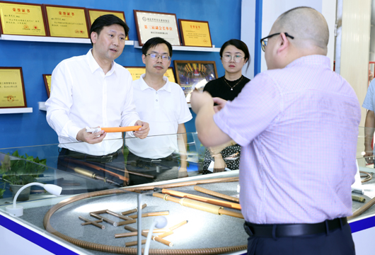 荆门市市场监督管理局李波局长卢俊峰副局长带队莅临湖北艾克调研指导工作