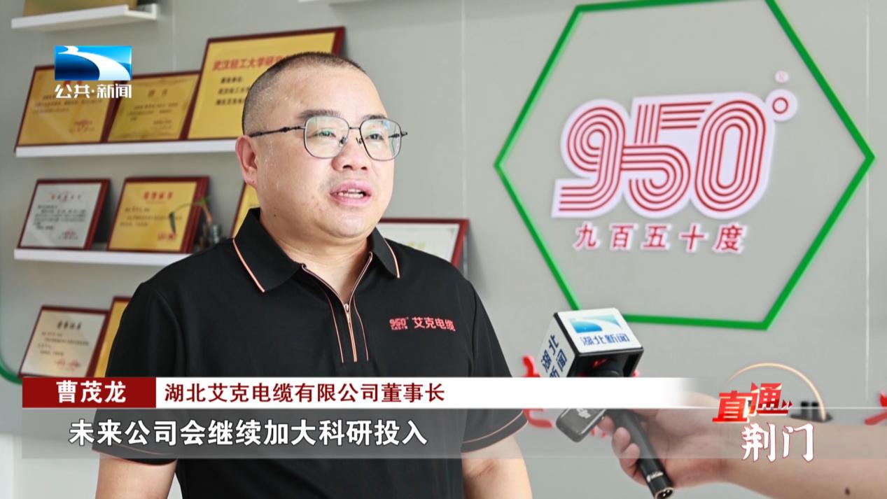 京山：灰色产业转绿 乡村画卷更美